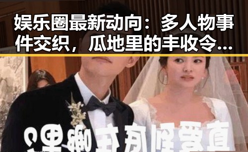 娱乐圈最新动向：多人物事件交织，瓜地里的丰收令人关注