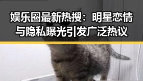 娱乐圈最新热搜：明星恋情与隐私曝光引发广泛热议