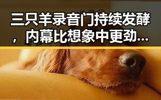 三只羊录音门持续发酵,内幕比想象中更劲爆!🔥