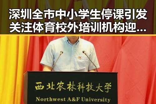 深圳全市中小学生停课引发关注 体育校外培训机构迎白名单新规
